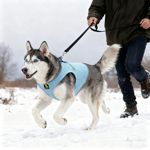Diskon besar Set tali dada anjing kecil OEM taktis hewan peliharaan Teddy Lead dengan tombol penutup pola padat poliester tali dada anjing - Product Image 1