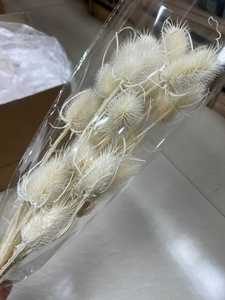 Tiges de chardon (Eryngium) séchées et préservées, fleurs séchées faites à la main, longue durée (3-5 ans), pour la fête des mères, la remise des diplômes, le Nouvel An - Product Image 4