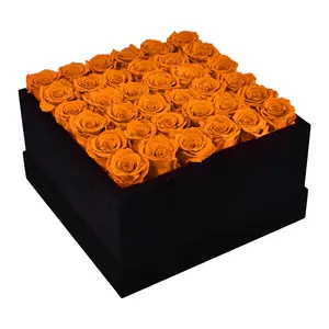 Bewaar Herfstbloemen Oranje Rozen Voor Altijd Betoverd Valentijnsdag Roos Roos Voor Valentijnsdag