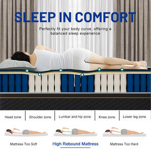 OEM ikiz tam kraliçe kral yatak 14 inç örme kumaş vakum oteller ve yatak odası için haddelenmiş 10 yıl garanti Modern tasarım - Product Image 5