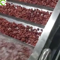 Fraises séchées entières, conservées au sirop, goût sucré, collation saine en vrac, sac de 2 kg