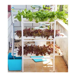 小型室内水培系统标准型3层108孔家庭水培生长系统迷你花园生长套件系统