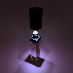 Brillant à Lèvres Lumineux Argenté Repulpant Vendeur Brillant à Lèvres Transparent Vegan Avec Boîte et Logo - Product Image 3