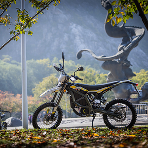 Oferta Especial: Motocicleta Eléctrica Surron Ultra Bee 12500W con Autonomía de 120 km, Modelo 2024, Envío Gratis - Product Image 1