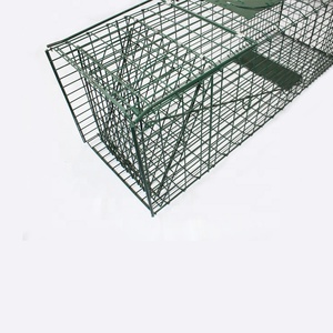 Piège à rongeurs en maille Teel piège à attraper <span class=keywords><strong>renard</strong></span> vivant chat lapin écureuil Possum <span class=keywords><strong>Cage</strong></span> - Product Image 2