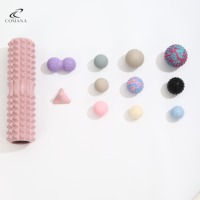 COMANA Kit d'accessoires de Pilates en gros avec Anneau de Pilates, Tapis de yoga, Ballon de Pilates, Bandes de résistance, Slider, Cercle magique, Lestes de cheville