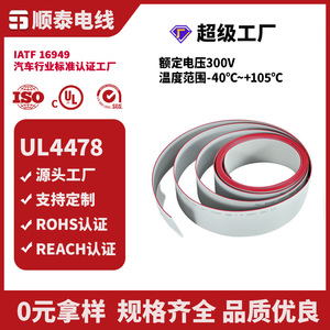 Cable Plano XLPE Irradiado 125C 150V PT2 para Equipos Electrónicos - Product Image 2