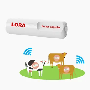 New Technology Cattle And Sheep Animal Husbandry Intelligent Breeding Cow Rumen Capsules Can Real-Time Cattle Health Monitoring