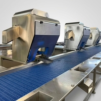 Ananasring- en -stukjesverwerkingslijn |   Automatische machine voor het ontpitten, schillen en snijden van geconserveerde ananas & fruit.