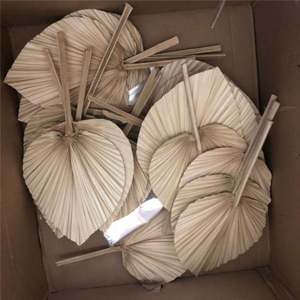 Q-1063 Feuilles de <span class=keywords><strong>palmier</strong></span> séchées naturelles, <span class=keywords><strong>éventail</strong></span> fleuri, écologique, décoration de mariage, Saint-Valentin, décoration de la maison - Product Image 6