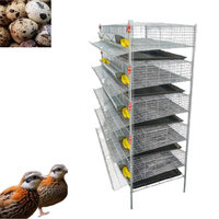 Cage d'élevage de cailles multi-niveaux de qualité supérieure, équipement avicole de qualité commerciale, approvisionnement direct