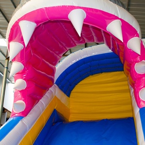 Toboggan aquatique gonflable sur le thème des requins, château gonflable commercial extérieur en PVC pour enfants, taille personnalisée, location pour fêtes, capacité 500 kg - Product Image 6