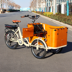 <span class=keywords><strong>Vélo</strong></span> cargo familial à 3 roues <span class=keywords><strong>électrique</strong></span> <span class=keywords><strong>hollandais</strong></span>, normes européennes, vente chaude, <span class=keywords><strong>vélo</strong></span> cargo familial à 3 roues, 4 places, siège bébé - Product Image 1
