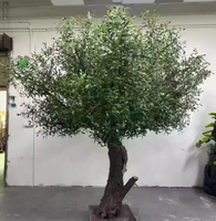 Arbre d'olivier artificiel simple, ensemble de pots en ciment, décoration de sol pour le bureau et le salon