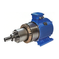 Moteur à induction industriel à couple élevé YB3-200L-4, triphasé, antidéflagrant, efficacité IE3, montage sur bride, 208-230/240V pour l'exploitation minière