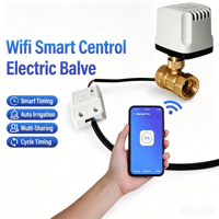 Katup Bola Listrik Kuningan Kontrol Aplikasi WiFi, Pengoperasian Manual, Operasi Ganda, Perpipaan Rumah, Katup Motor Cerdas