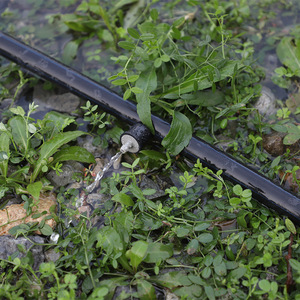 Système d'irrigation goutte à goutte agricole moderne DaringFish avec stabilisateur de compensation de pression en plastique technique vert/gris pour fruits - Product Image 4