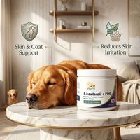 Poudre de probiotiques OEM/ODM pour chats, stimulant quotidien de la vitalité, compléments probiotiques pour la santé physique des chats