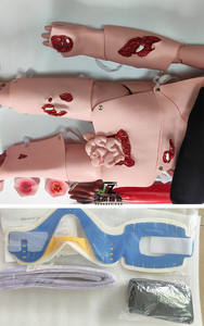 Mannequin de formation de fixation de fracture de membre fermé soins infirmiers avancés soins traumatologiques simulateur de lésion vertébrale factice modèle de fracture humaine - Product Image 4