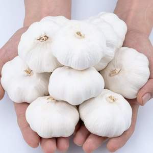 Ail séché - Fourni <span class=keywords><strong>en</strong></span> grandes quantités par Huaran. Il <span class=keywords><strong>a</strong></span> une teneur élevée <span class=keywords><strong>en</strong></span> matière sèche et une faible teneur <span class=keywords><strong>en</strong></span> humidité. - Product Image 1