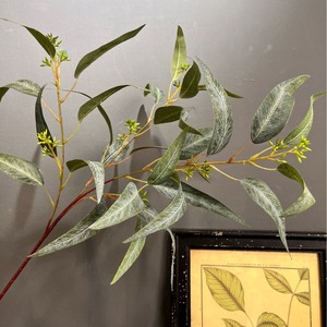 Vente en gros de feuillage artificiel d'eucalyptus hollandais à 4 branches en soie esthétique pour vitrine - Product Image 3