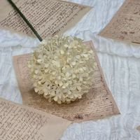 Bola Hydrangea Buatan Tunggal dari Sutra Plastik Gaya Alami untuk Dekorasi Pernikahan dan Halloween