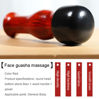 Mini-masseur facial intelligent, planche de massage électrique en pierre de Bian, massage par ventouses, relaxation musculaire, compresse chaude, lifting intelligent du visage