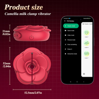 APP-gesteuerte Silikon-Leichtgewicht-Nippelspielzeuge für Frauen mit 9 Vibrationsmodi Erwachsenen-Sexspielzeug Vibrierende Nippelklemmen