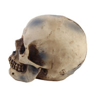 Modèle de squelette en résine personnalisé OEM, tête de crâne 3D en polyrésine, figurine décorative pour Halloween et bar à domicile, fabricant