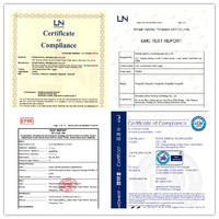 Enregistreur de température pour congélateur ultra basse température, capteur de température Lora IoT pour chambre froide