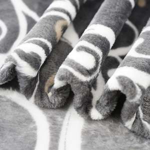 Throw Blanket Floral Blanket, Super Soft Flannel Throw Blanket, Lightweight Fluffy Plush Fuzzy Throws for <b>Bedding</b> Sofa - Product Image 5