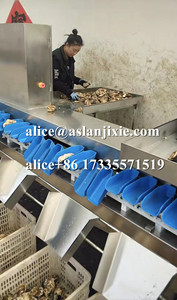 Gia cầm thịt Phễu có trọng lượng phân loại máy/hải sản Rau khay quy mô trọng lượng học sinh lớp dây chuyền sản xuất - Product Image 4