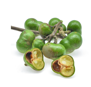 Camellia Sinensis種子エキス65% 粉末ハーブエキストップグレード2年ブラウンパウダークールドライプレイス人工植栽 - Product Image 2