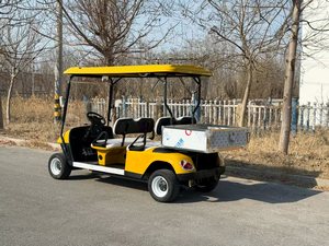 Voiturette de golf électrique SHUIMAN JINSHAN 4 places, moteur 3,5 kW, autonomie 80-100 km, châssis en acier, panier de rangement moderne et luxueux, pour parcs et terrains de golf - Product Image 2