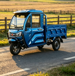 Triciclo EEC COC L2e per Trasporto Merci con Batteria al Piombo-Acido 72V 58AH a Lunga Durata, Sterzo Agile, Spazio Minimo di Parcheggio - Product Image 5