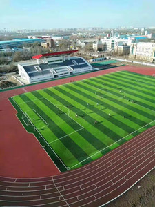 Thảm cỏ nhân tạo sân vườn cảnh quan trang trí thảm nhựa Mat cỏ nhân tạo cỏ tổng hợp - Product Image 6