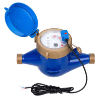 Medidor de Agua de Pulso de Acero Inoxidable SS304, Medidor de Flujo de Agua con Salida de Pulso Anticorrosión DN15 DN50 IP68 Impermeable