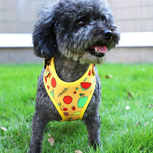 Kapal siap pabrik membuat kustom cetak tidak ada tarik tidak tersedak mudah berjalan anak anjing dapat disesuaikan <span class=keywords><strong>Harness</strong></span> dan tali Set untuk pelatihan - Product Image 6