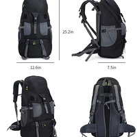 Sac à dos de ski 50L résistant à l'eau, léger, pour le sport de plein air, le camping, l'escalade, le ski, le cyclisme