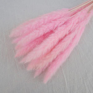 DREA estilo bohemio Pequeña hierba de Pampa muchos colores decoración de flores secas naturales para la decoración del hogar de la boda - Product Image 5