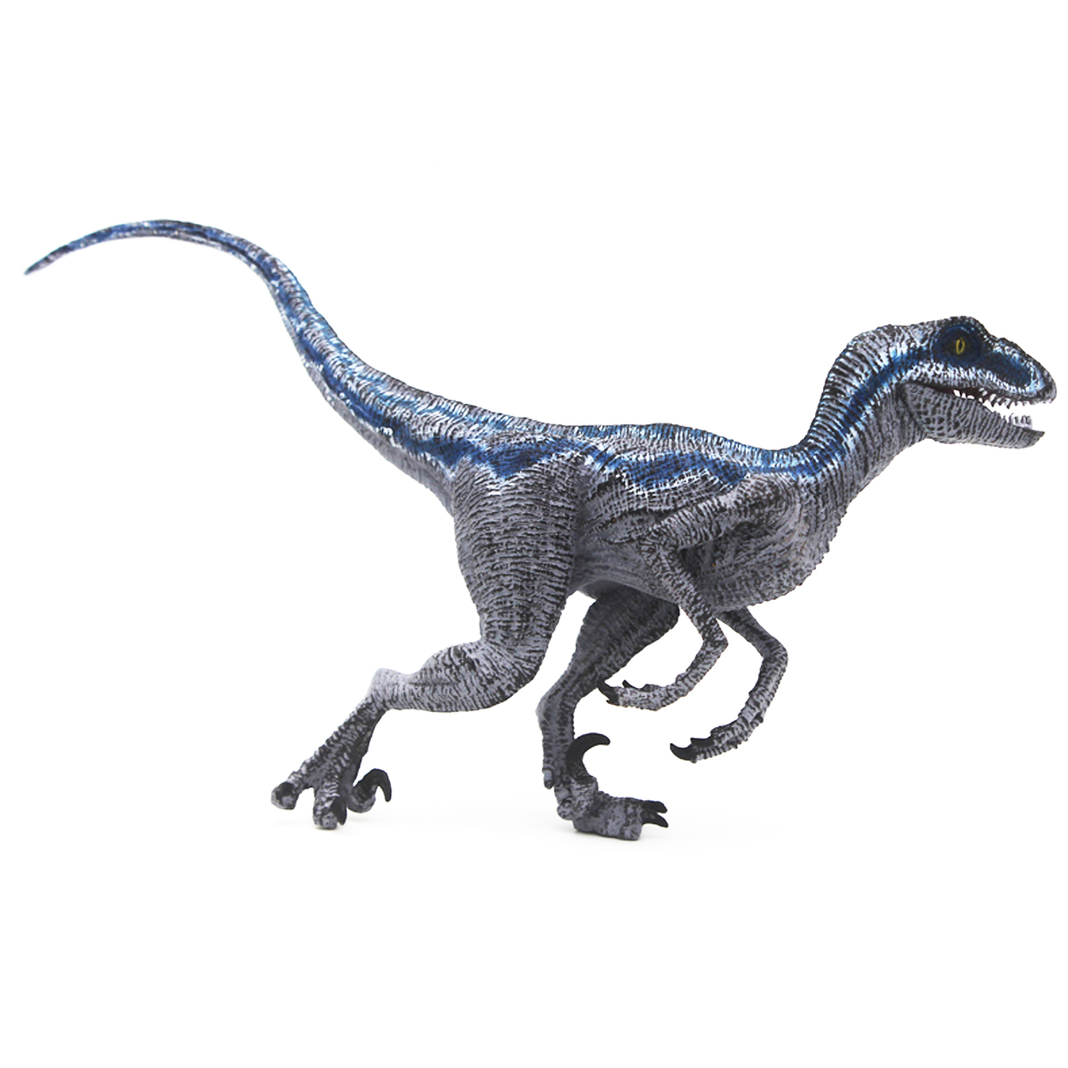 Velociraptor azul
