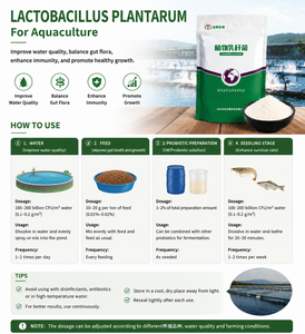 Lactobacillus Plantarum en Polvo, Probiótico Directo de Fábrica, Aditivo para Alimento de <span class=keywords><strong>Peces</strong></span> y Camarones, Mejora la Calidad del <span class=keywords><strong>Agua</strong></span> y la Flora Intestinal - Product Image 5