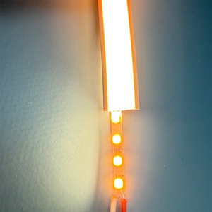 <span class=keywords><strong>Tube</strong></span> néon LED en silicone à insertion libre, étanche, résistant aux <span class=keywords><strong>UV</strong></span>, sans besoin de filetage pour l'éclairage architectural - Product Image 6