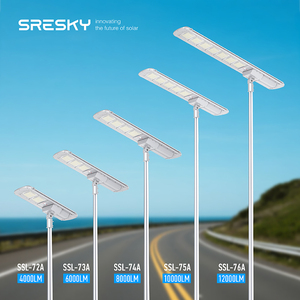 SRESKY 태양광 가로등 자동 태양광 가로등 청소등 램프 자라란 태양광 패널 가로등 - Product Image 3