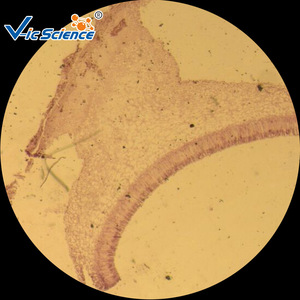 Vi sinh học Slide Set Men chuẩn bị Slide vi sinh chuẩn bị Slide kính hiển vi - Product Image 5