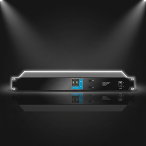 Suppresseur de rétroaction numérique haute performance suppresseur de rétroaction audio professionnel, équipement audio de performance de scène et d'église - Product Image 6