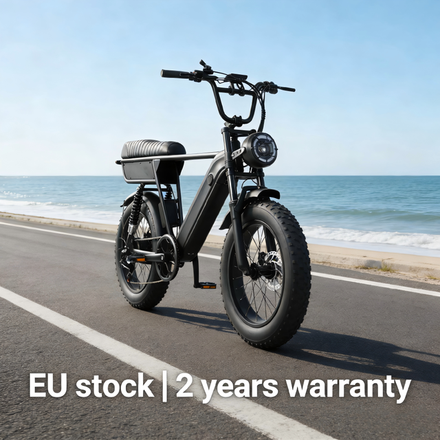EU Warehouse YANGOR Y20 Plus Fatbike 20 Inch Electr Road Bike 48v 250w Ebike Vintage Electric Fat Tire E-Bike