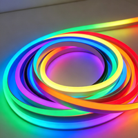 Bande LED néon flexible RGB adressable 12V étanche IP67 en silicone noir avec Wi-Fi / Longueur personnalisée USB