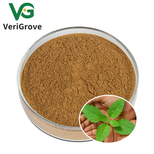 Ekstrak daun kemangi suci kualitas terbaik bubuk ekstrak Basil asam Ursolic Tulsi octimum <span class=keywords><strong>Sanctum</strong></span> - Product Image 1