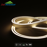 Enseignes Commerciales Néon, Éclairage d'Entrepôt, Éclairage Paysager, Bandes LED Adressables Personnalisables en Silicone, Étanchéité IP67, 12/24V